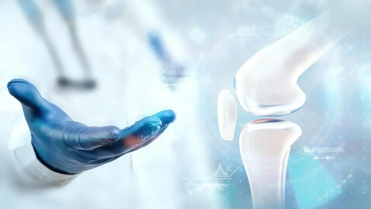 Eldivenli hekim eli ve diz eklemi anatomisinin yer aldığı klinik görsel